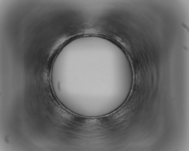 X0000098141454200804241702