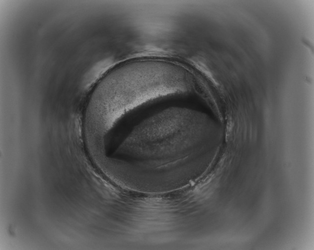 X0000098141455200804241702