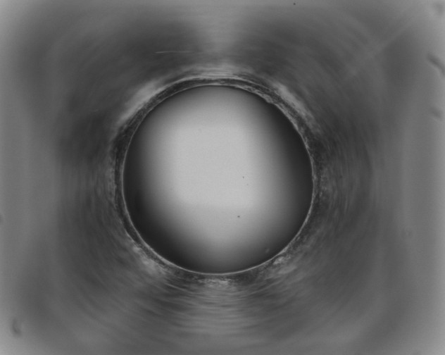 X0000098141456200804241702