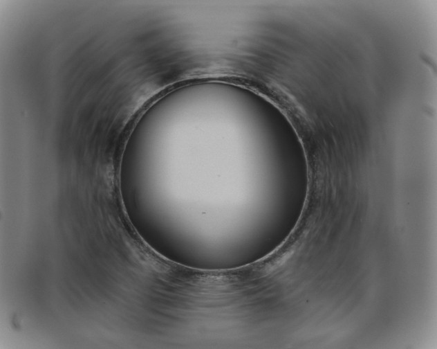 X0000098141457200804241702