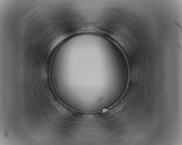 X0000098141458200804241702