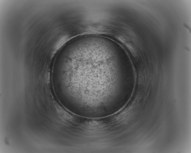 X0000098141459200804241702