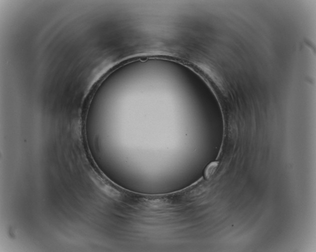 X0000098141460200804241702