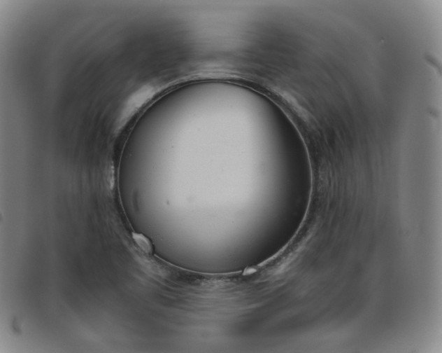X0000098141461200804241702