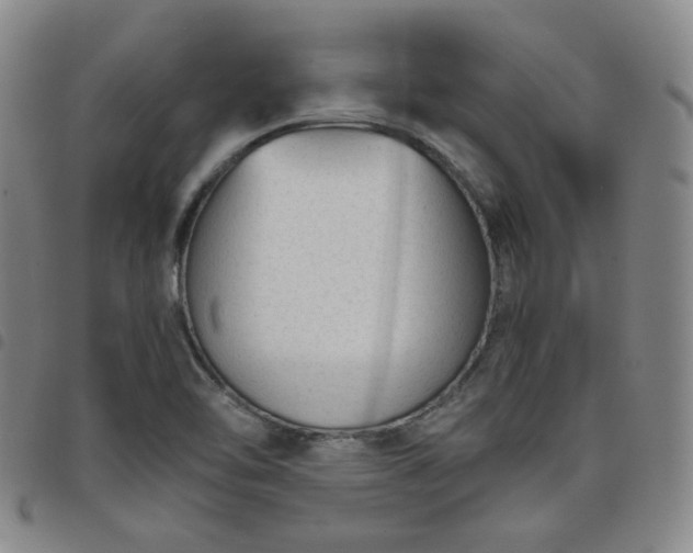 X0000098141462200804241702