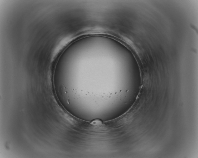 X0000098141464200804241702