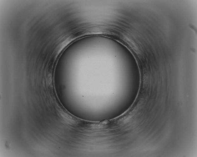 X0000098141465200804241702
