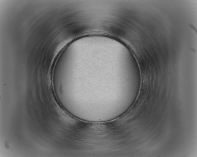 X0000098141466200804241702