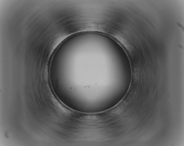 X0000098141468200804241702
