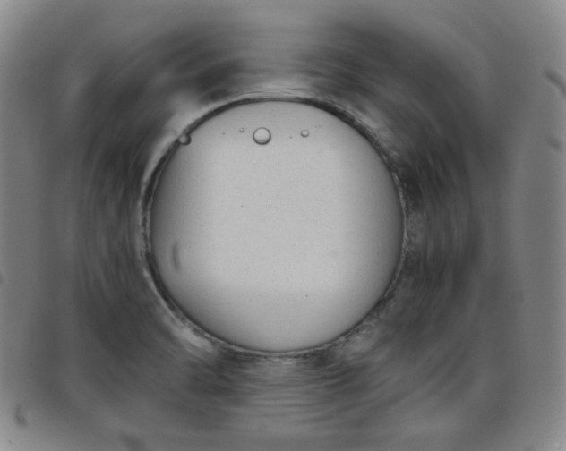 X0000098141470200804241702