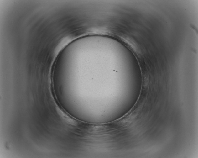 X0000098141471200804241702