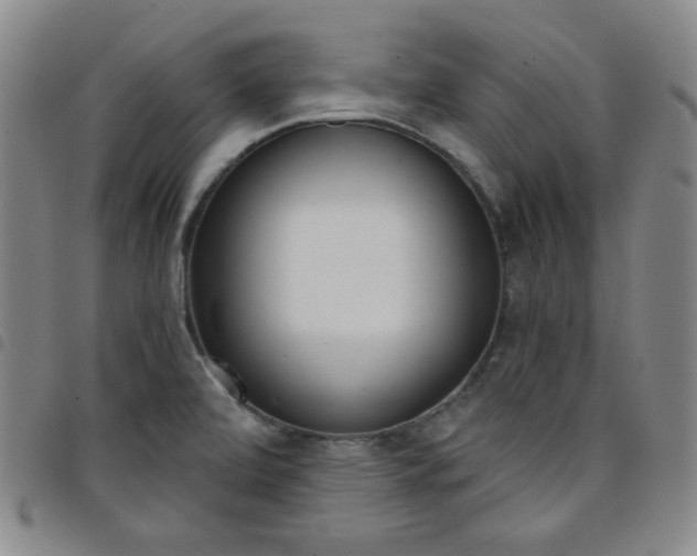 X0000098141472200804241702
