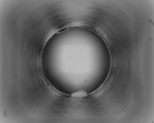 X0000098141473200804241702