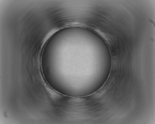 X0000098141474200804241702