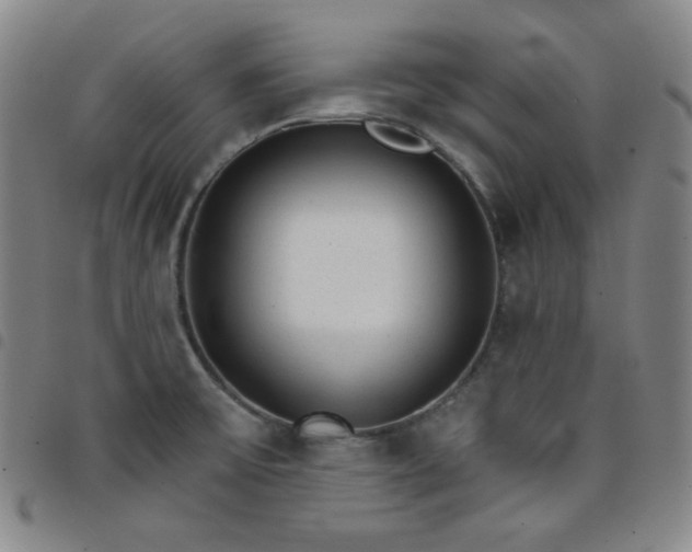 X0000098141475200804241702