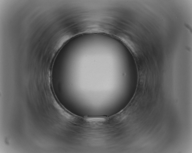X0000098141476200804241702