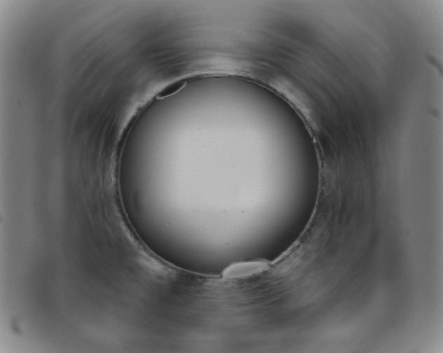 X0000098141477200804241702