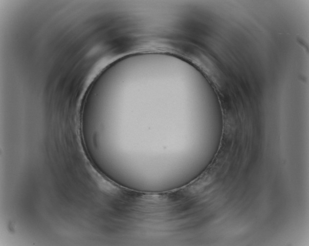 X0000098141478200804241702