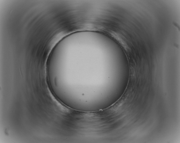 X0000098141479200804241702