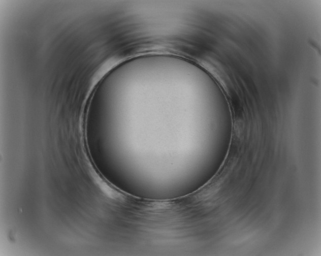 X0000098141482200804241702