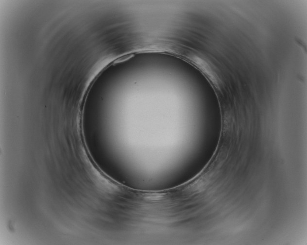 X0000098141484200804241702
