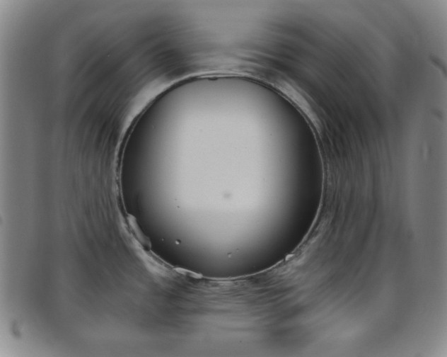 X0000098141485200804241702