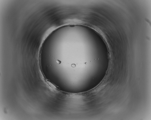 X0000098141488200804241702