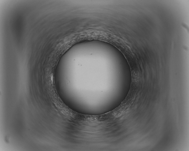 X0000098141489200804241701