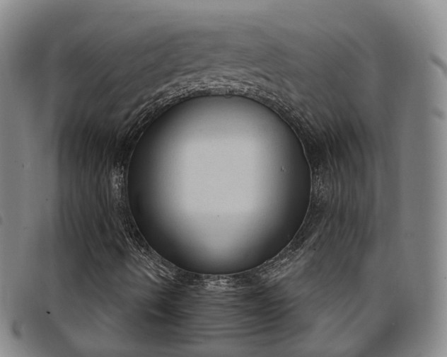 X0000098141490200804241701