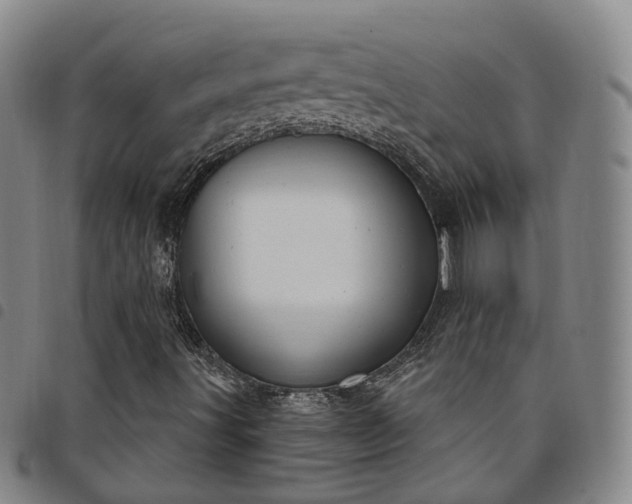 X0000098141491200804241701