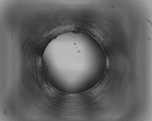 X0000098141492200804241701