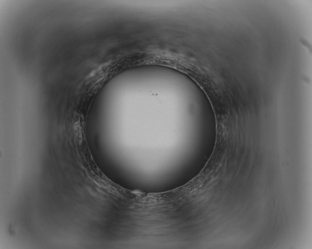 X0000098141493200804241701