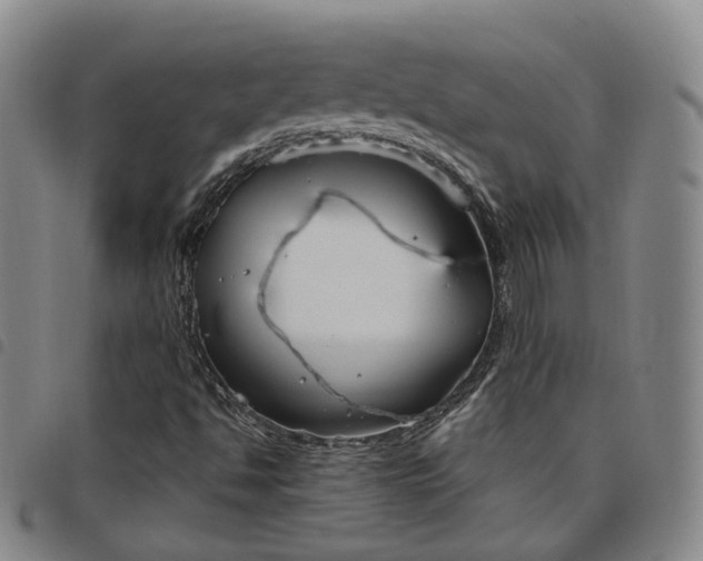 X0000098141494200804241701
