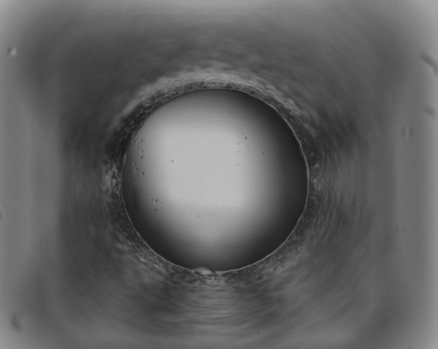 X0000098141495200804241701