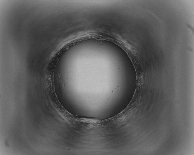 X0000098141496200804241701