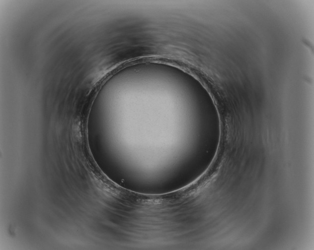 X0000098141497200804241701
