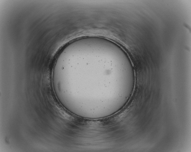 X0000098141498200804241701