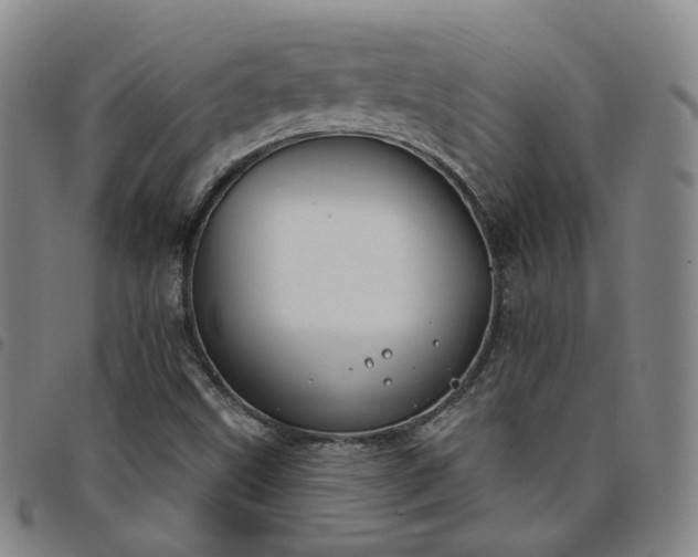X0000098141499200804241701