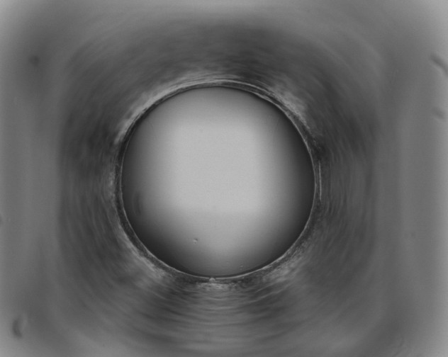 X0000098141500200804241701