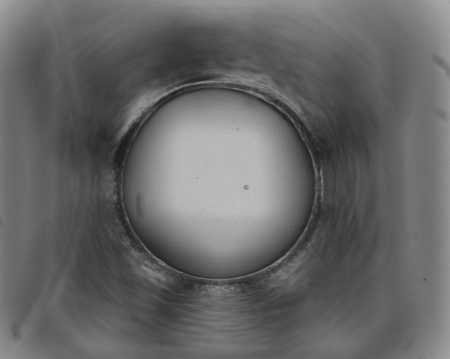 X0000098141501200804241701