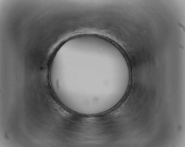 X0000098141502200804241701