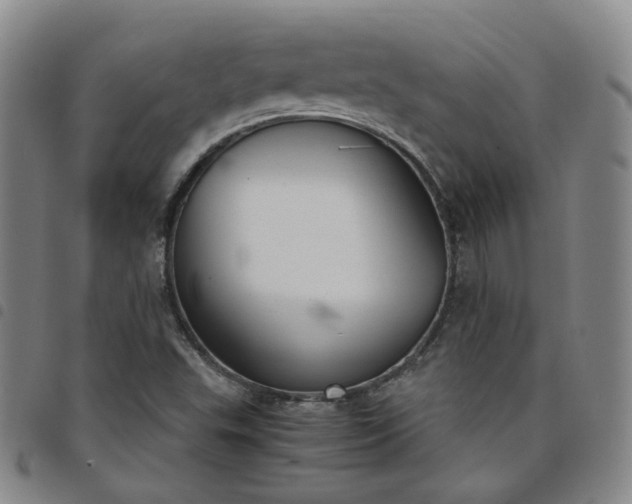 X0000098141503200804241701