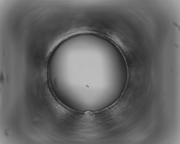 X0000098141504200804241701