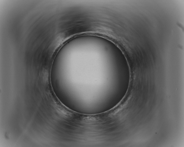 X0000098141505200804241701