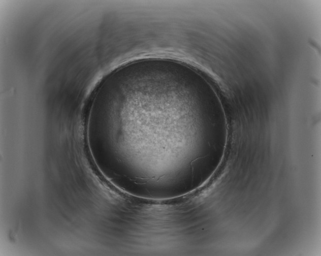 X0000098141506200804241701