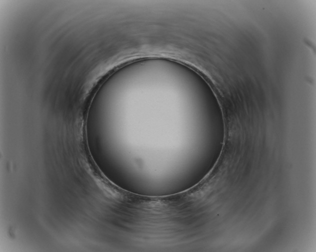 X0000098141507200804241701