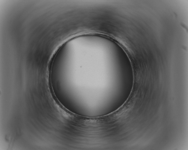 X0000098141508200804241701