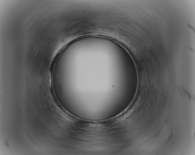 X0000098141509200804241701