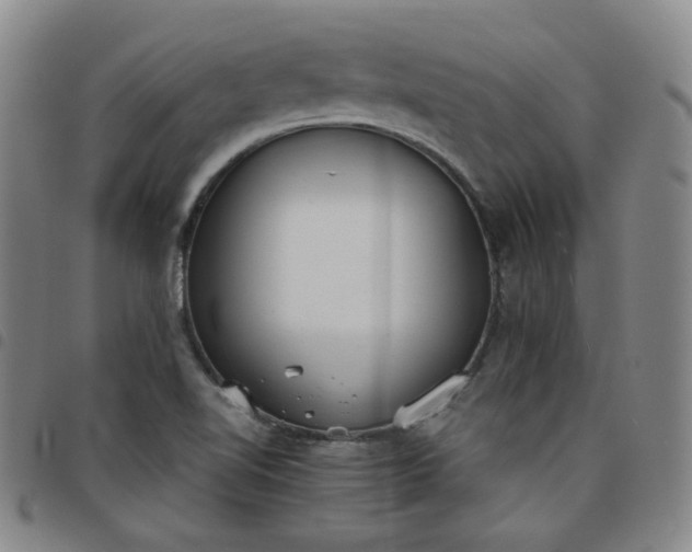 X0000098141510200804241701
