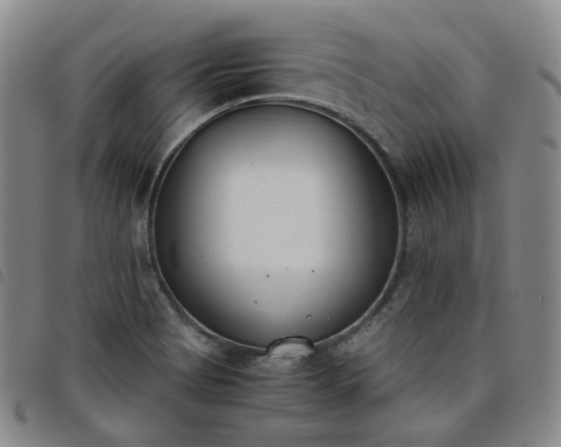 X0000098141513200804241701